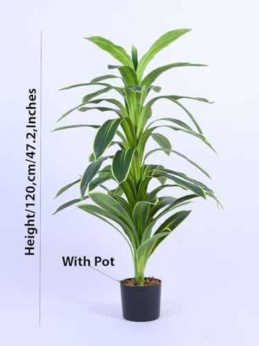Image of ARICK DECOR 4Ft Artificial Variegated Dracaena Plant in Pot, 4ft Realistic Faux Song of India Tree, White Green Peacock Shaped Floor Plant for Home & Office