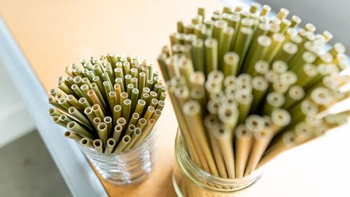 Pitillos naturales de pasto para cóctel 500 unidades miniatura 3