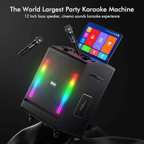 High Power Karaoke Machine with Display