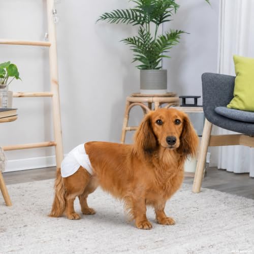 TRIXIE Hundewindeln für Hündinnen Gr. XS–S, 12 St., 20–28 cm Taillenumfang