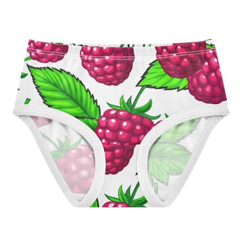 Red Raspberries Green Leaves Girls Underwear Toddler 2t Cotton Girl Panties Cute Fun Print Briefs Kids Undies