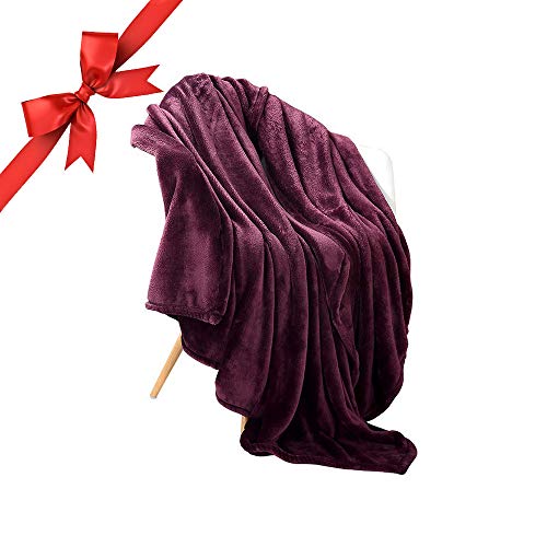 Panku Flannel Fleece Blanket Soft Throw Blanket Super Warm Lightweight Blanket-Purple, Throw(50"x60")