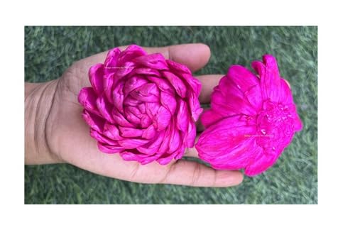 SPHINX Sola Bloomed Lotus Flowers for Decorations, Gift Packing, D-I-Y Art and Crafts, Garland Making Festive Decor Pooja Decor Table Decorations- (Dark Pink/Rani - Diameter approx 6 cms, 20 Pieces)