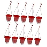 Photo Gallery hanabass 10 set vasi da sospesi plastica trasparente con supporto vasi da parete per piante da accessori da leggeri e resistenti facili da montare per decorazione casa Photo Gallery hanabass 10 set vasi da sospesi plastica trasparente con supporto vasi da parete per piante da accessori da leggeri e resistenti facili da montare per decorazione casa