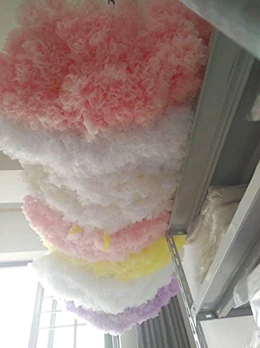 image for FOLOBE Adult Luxurious Soft Chiffon Petticoat Tulle Tutu Skirt Women's
