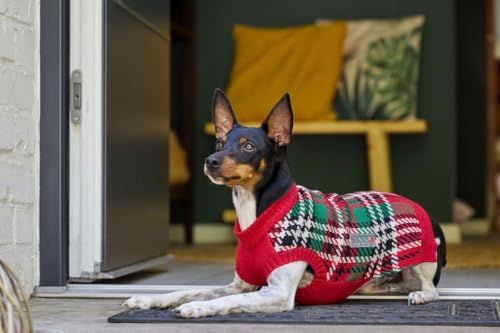 WOLTERS Strickpullover Karolinchen