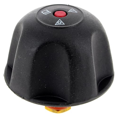 Bouchon centrale vapeur pour Nettoyeur vapeur