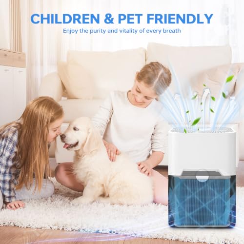Image of 211+ AllergenBlock Filter Compatible with Blue Pure 211+ | For 211+ & 211+ Auto, 2 Stage Filtration System of Filter and Activated Carbon Filter, Removes Pet Dander & Odors, 1 Pack