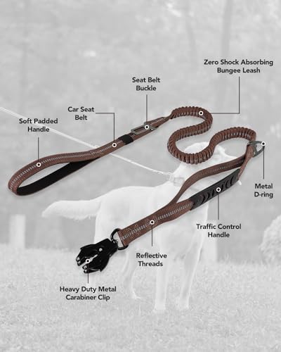 Joytale Taktische Hundeleine, 1.2m-1.8m Bungee Hundeleine Reflektierend mit 2 Gepolsterten Griffen, Autosicherheitsgurt, Leine Hund ohne Zugkraft für Mittelgroße, Große, X-Große Hunde, Braun