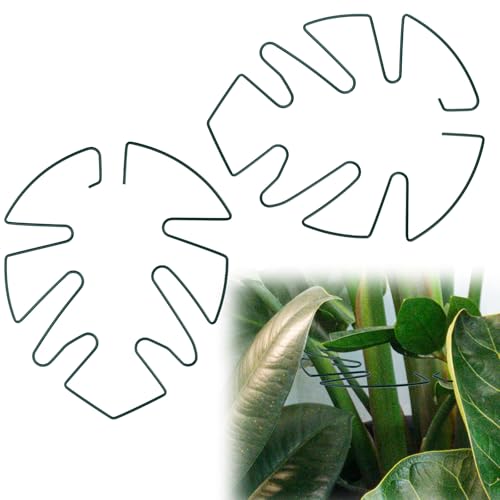 BOXOB 2pcs Monstera Leaf Plant Support, Metal Climbing Plant Stem Supports Monstera Shaped Plant Stand Ring Houseplant Stabilizer Grapple Holder to Keep Plants Growing Vertical (Green)