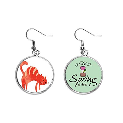 Joyas de gato rojo gordo para looks de primavera y paseos por la tarde