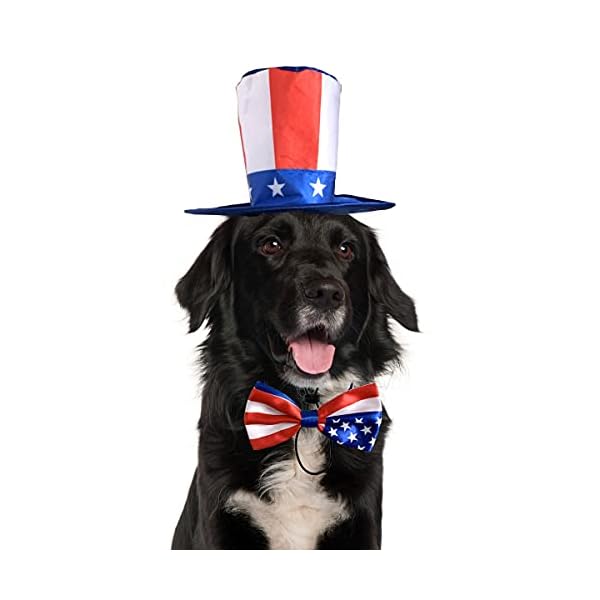Vehomy pet dog independence day costume - uncle sam dog top hat and american flag dog bow tie collar 4th july pet hat and collar costume supplies for dogs cats puppy kitten (2pcs)