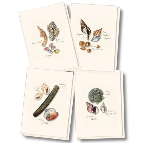 Coffret de 8 cartes de remerciement coquillages, cadeau idéal pour amateurs de papeterie