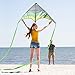 Mint's Colorful Life Delta Kite for Kids & Adults, Extremely Easy to Fly Kites with 2 Ribbons and 300ft String, Best for Beginner