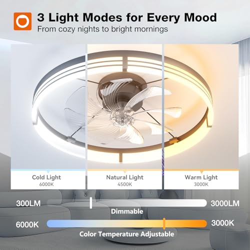 Image of addlon Ceiling Fans with Lights and Remote, 24'' Low Profile Ceiling Fans, 3000-6000K Dimmable Modern Flush Mount LED Fan Light, Fandelier Ceiling Fan for Bedroom, Kitchen, Living Room