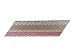 B&C Eagle A238X113HDR/33 Offset Round Head 2-3/8-Inch x .113 x 33 Degree Hot Dip Galvanized Ring Shank Paper Tape Collated Framing Nails (500 per box)