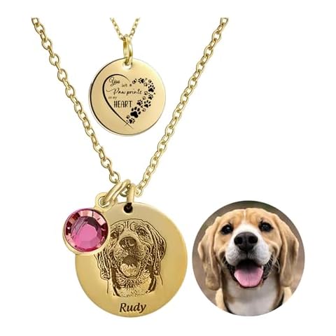 Custom Personalized Pet Portrait Necklace,Handmade Pet Memorial Jewelry,Dog Cat Necklace Text Engraved Pendant in Memoria,Customized Round Disc Photo Engraved,Pet Remembrance Jewelry. Cover