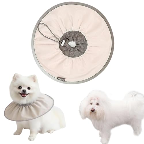 Lifetips{j[Y {j[YLp GUxXJ[ h \tg y pPA ی Ȃߖh~ p EȒP 􂦂 PAJ[(RRAej(Lj