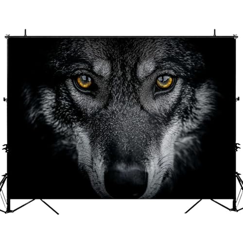 Photography Backdrop Photography Background Wolf Eye Closeup Portrait for Photoshoot