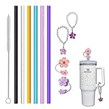 Stanley Straw Replacement for 40 oz & 30 oz Tumblers, with 2 Straw Covers, 2 Charms & 1 Cleaning Brush - 6 Color Reusable Straws Kit for Stanley Quencher Cup Accessories (6 colors)