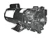 Pump,3/4 HP,1 Ph,120/240VAC