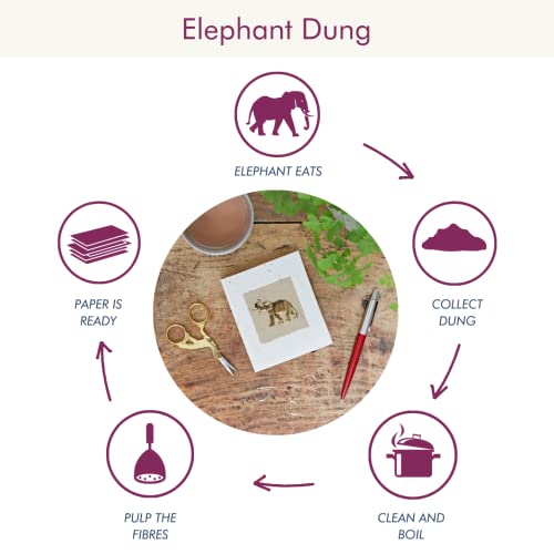 Elephant Dung Notebook Small 95 x 110mm