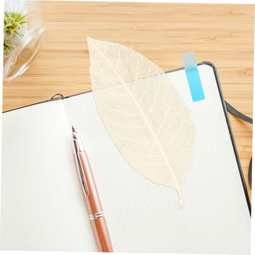 100 hojas secas naturales para manualidades DIY 100 pcs miniatura 4