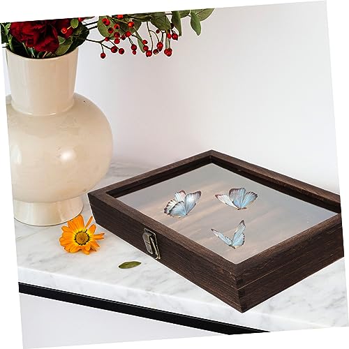 Vitrine pour objets de collection avec cadre en bois de qualité - 6