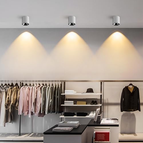 Image of JAYMP Modern LED Ceiling Spotlight 3000K Dimmable 24W White Surface Mount Cylinder Down Light for Living Room Hallway Laundry Room