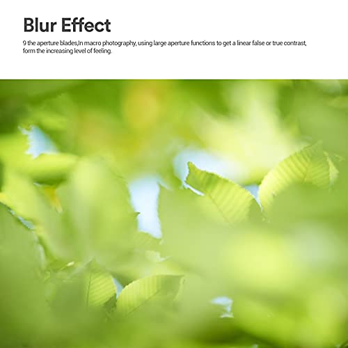 7artisans 60mm F2.8 Macro Lens APS-C Handmatige Vaste Lens voor Canon M1 M2 M3 M5 M6 M10 EOS-M Bajonet Zwart - Afbeelding 6