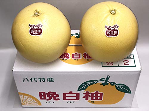 晩白柚 八代特産 ばんぺいゆ 2玉入 訳あり Lサイズ 晩白柚 八代特産 ばんぺいゆ 2玉入 訳あり Lサイズ