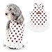 Ranphy Dog Dress for Small Dogs Girl Puppy Sleeveless Clothes Pet with Cute Heart Print Skirt Doggy Spring Summer Outfit Cats Apparel, Red, M