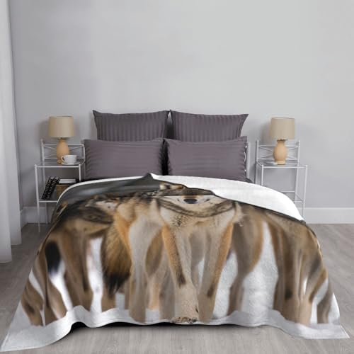Couverture polaire loups cadeau original et chaud couverture flanelle douce - 7