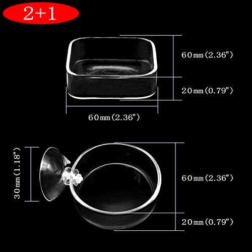 Image of Aquarium Shrimp Feeder Dish Glass Fish Tank Feeding Bowls, 1pcs Round Glass Food Bowl (60mm), 2pcs Square Fish Feeding Bowls with Suction Cups (60mm)