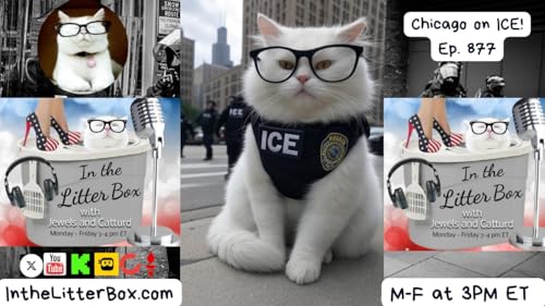 Chicago on ICE | In the Litter Box w/ Jewels & Catturd – Ep. 877 – 9/9/2025 Podcast Por arte de portada