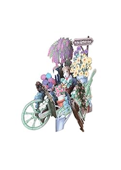 Kitchen Paper d'Art Wheelbarrow Happy Birthday 3D Pop Up Greeting Card Book