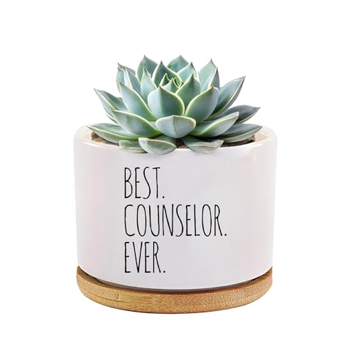 Best Counselor Ever Counselor Gifts Ceramic Succulent Plant...