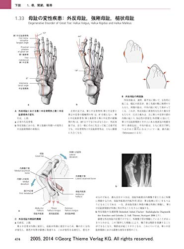 おすすめの解剖学 評価法などの書籍 おすすめの解剖学 評価法などの書籍