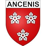 Fabrication Professionnelle - garantie 7 ans - pour les stickers plaque dimension officielle et découpés à la forme avec les angles