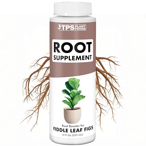 TPS NUTRIENTS Root Supplement for Fiddle Leaf Figs, Stimulate and Propagate Healthy Fig Tree Roots with Probiotics and Seaweed, Liquid Plant Fertilizer 8 oz (250mL)