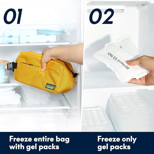 Haimont Freezable Snack Cooler