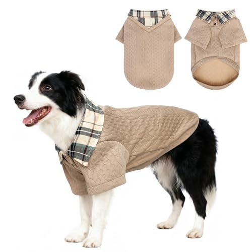 SCENEREAL pZ[^[ ^A^A^p ybgp[J[ XEFbgVc ~pjbgvI[o[At@bVVcݕtAqhR[gAx[W M