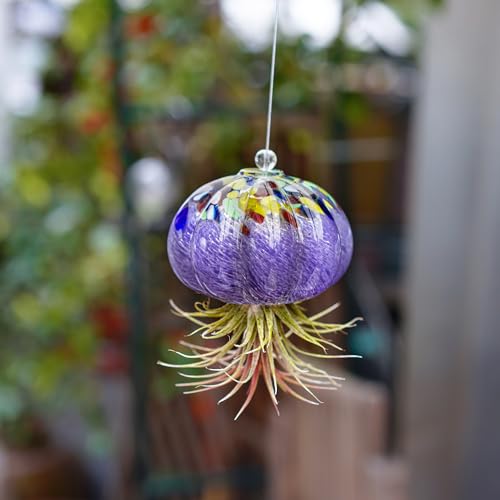 H&D Hyaline & Dora Hanging Hand Blown Art Glass Jellyfish Air Planter Terrarium Decor For Garden Porch Windowsill  thumb #6