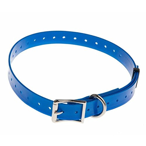 NUM`axes Gurt aus Polyurethan, Länge 65 cm, Länge 25 mm, Blau Cover