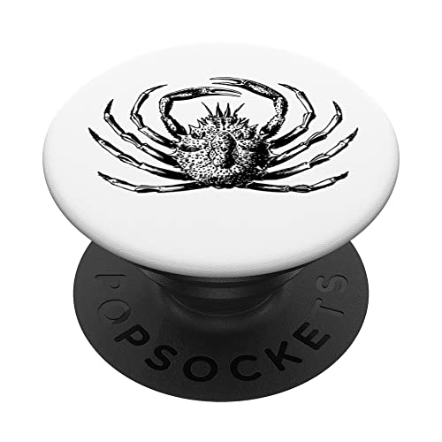 Cool Vintage Náutico Océano Playa Cang PopSockets PopGrip Intercambiable