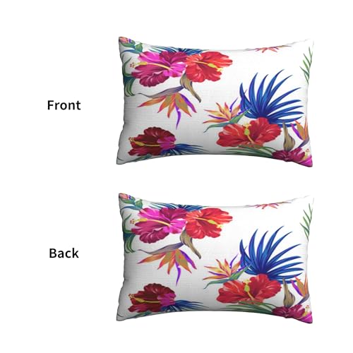 ʃvbVJo[A_炩ȁA20x30C`Axbh\t@ɍœKif炵gsJt[̖͗lAS[WXȐAAnCrXJXAp[Aj