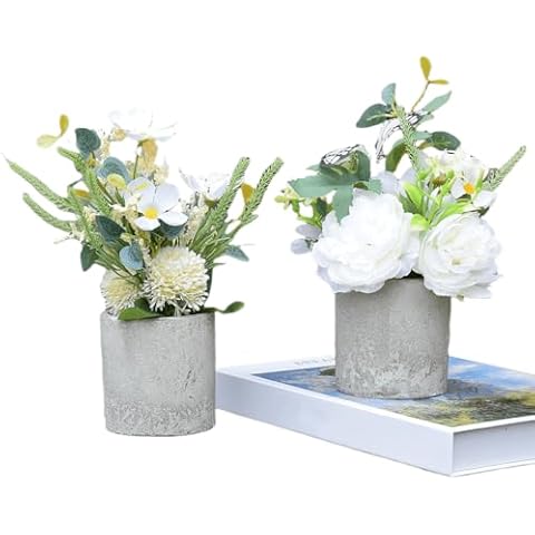 Aiouclay Small Fake Potted Plants for Decor Cover