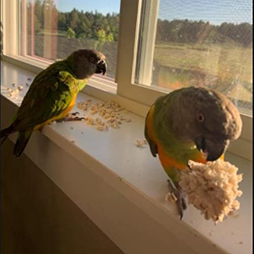 3 s Bird Natural Sola Soft Chew ShGules Foraging Toy per pappagalli Pappagallo aw 6cm/2.36in