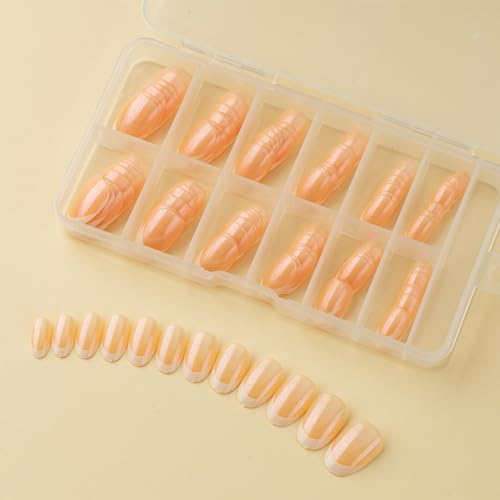 120x t܃t``bvt܃tJo[XeBbNIlCvXIlClH܏p