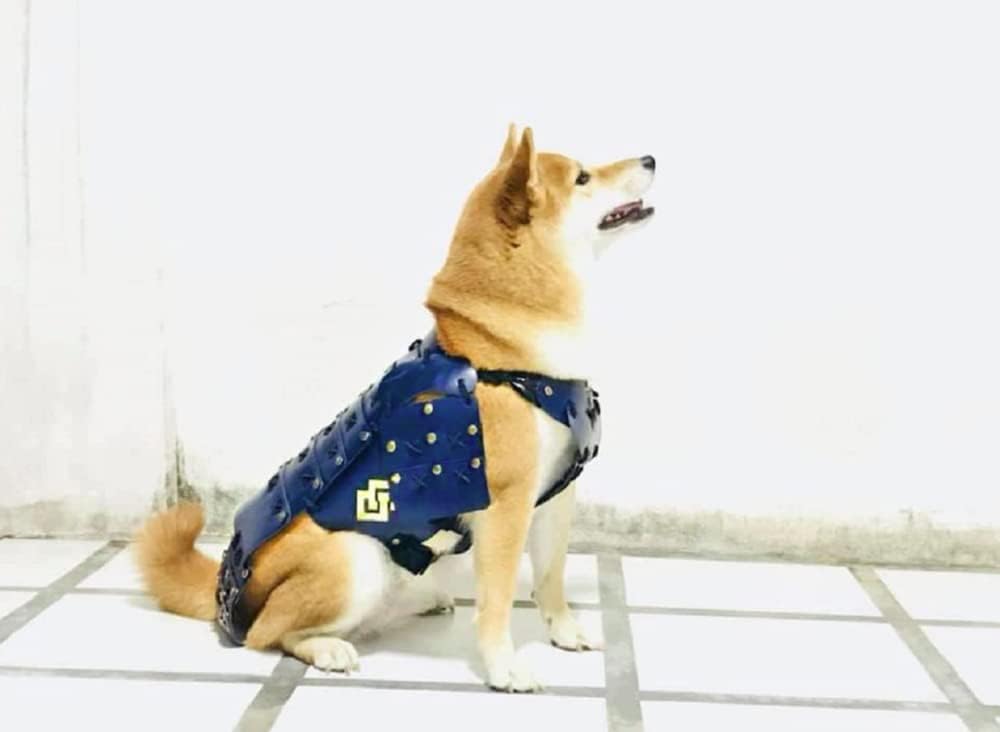 Made-to-Order Black/Blue Armour Japanese Style Handmade Dog Costumes Samurai Armor for Dog Fashion Cosplay for Medium Dog Made from Genuine Leather (Please Send us Your Dog/cat Size, Black)